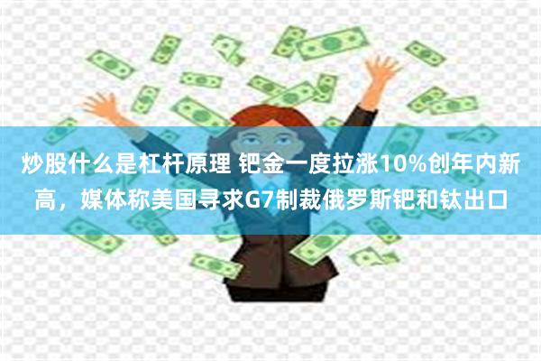 炒股什么是杠杆原理 钯金一度拉涨10%创年内新高，媒体称美国寻求G7制裁俄罗斯钯和钛出口