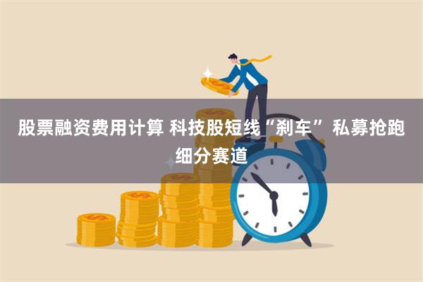 股票融资费用计算 科技股短线“刹车” 私募抢跑细分赛道