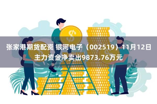 张家港期货配资 银河电子（002519）11月12日主力资金净卖出9873.76万元