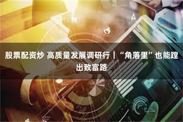 股票配资炒 高质量发展调研行｜“角落里”也能蹚出致富路