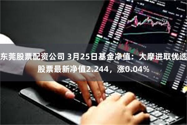 东莞股票配资公司 3月25日基金净值：大摩进取优选股票最新净值2.244，涨0.04%