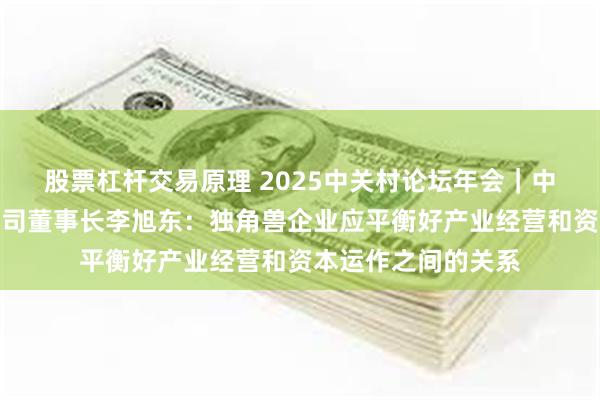 股票杠杆交易原理 2025中关村论坛年会｜中信建投投资有限公司董事长李旭东：独角兽企业应平衡好产业经营和资本运作之间的关系