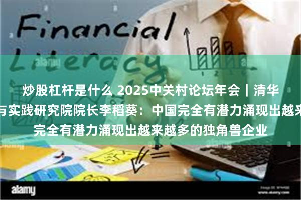 炒股杠杆是什么 2025中关村论坛年会｜清华大学中国经济思想与实践研究院院长李稻葵：中国完全有潜力涌现出越来越多的独角兽企业