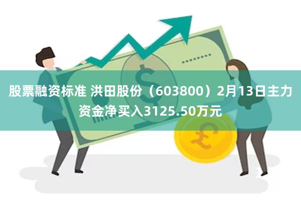 股票融资标准 洪田股份（603800）2月13日主力资金净买入3125.50万元