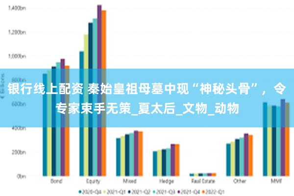 银行线上配资 秦始皇祖母墓中现“神秘头骨”，令专家束手无策_夏太后_文物_动物
